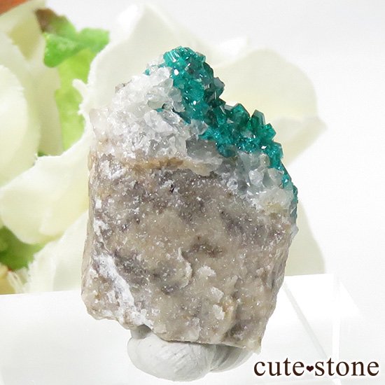ե󻺤Υץơθ 6.7gμ̿0 cute stone