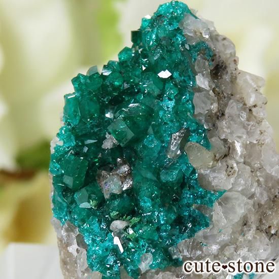 ե󻺤Υץơθ 6.7gμ̿1 cute stone