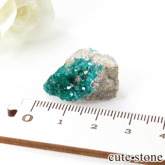 ե󻺤Υץơθ 6.7gμ̿2 cute stone