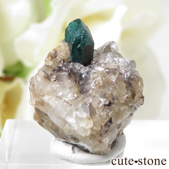 ե󻺤Υץơθ 4.3gμ̿0 cute stone