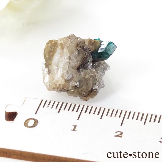 ե󻺤Υץơθ 4.3gμ̿3 cute stone