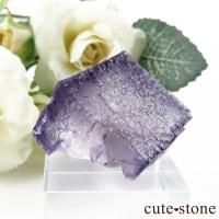 ꥫ ०åɹۻ ե饤Ȥθ 24gβ