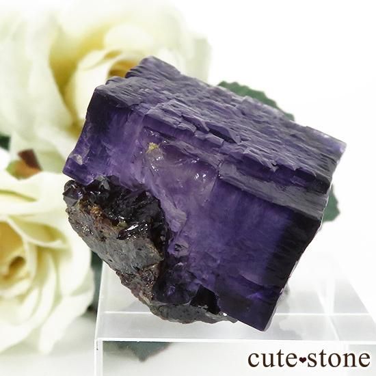 ꥫ ०åɹۻ ե饤Ȥθ 29gμ̿1 cute stone