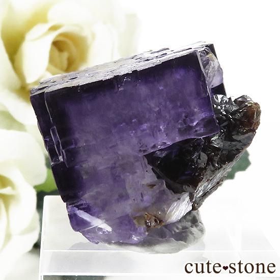 ꥫ ०åɹۻ ե饤Ȥθ 29gμ̿2 cute stone