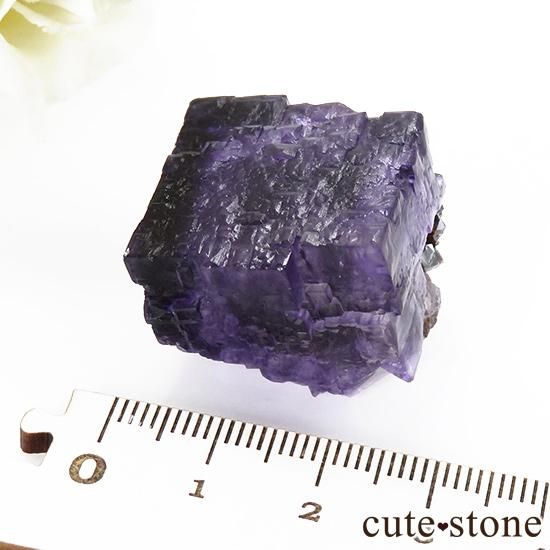 ꥫ ०åɹۻ ե饤Ȥθ 29gμ̿5 cute stone