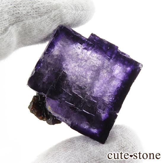 ꥫ ०åɹۻ ե饤Ȥθ 29gμ̿6 cute stone