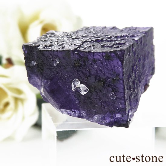 ꥫ ०åɹۻ ե饤Ȥθ 28gμ̿3 cute stone