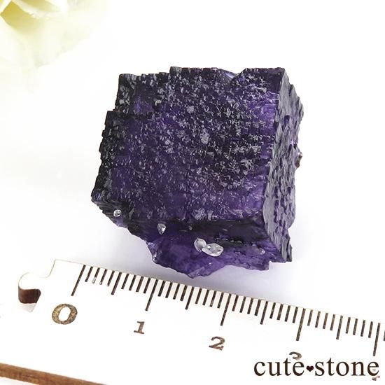 テネシー州 エルムウッド鉱山 紫フローライト&ステラビームカルサイトの原石 テネシー州 エルムウッド鉱山 紫フローライト&ステラビームカル