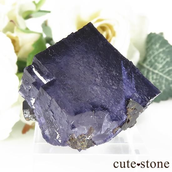 ꥫ ०åɹۻ ե饤Ȥθ 36gμ̿1 cute stone