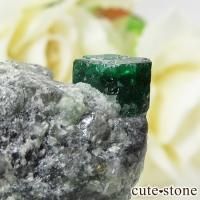 ѥ ȻդɤθСɸܡ13.4gβ