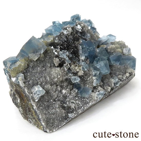  ʡʻ ֥롼ե饤ȤɸܡʸС227gμ̿1 cute stone