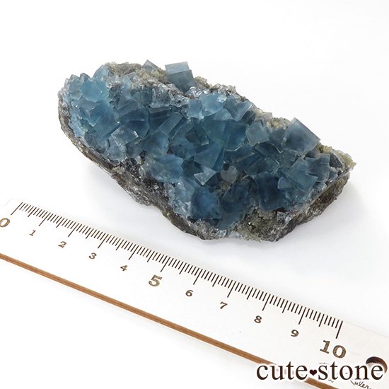  ʡʻ ֥롼ե饤ȤɸܡʸС227gμ̿5 cute stone