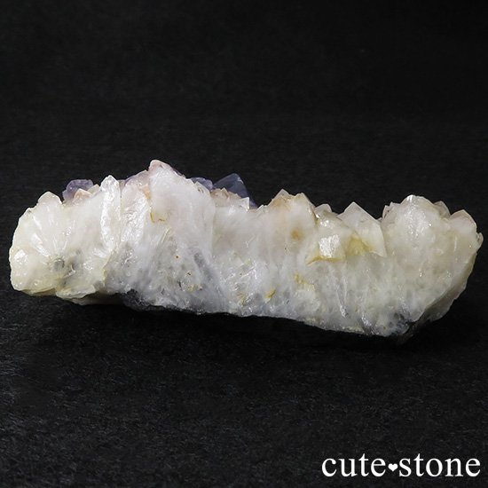  ʻ ե饤ȡɥȡեȥ९Ĥζɸ()μ̿0 cute stone