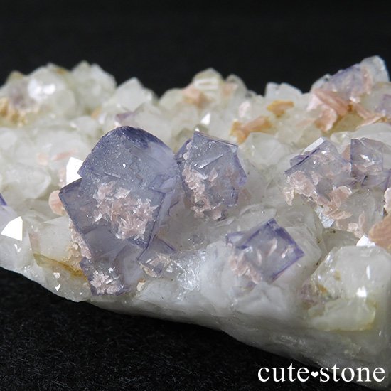  ʻ ե饤ȡɥȡեȥ९Ĥζɸ()μ̿1 cute stone