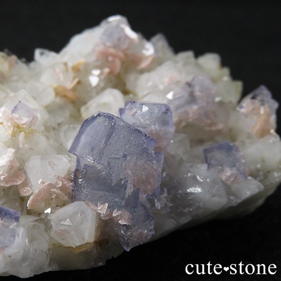  ʻ ե饤ȡɥȡեȥ९Ĥζɸ()μ̿2 cute stone