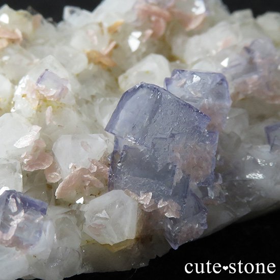  ʻ ե饤ȡɥȡեȥ९Ĥζɸ()μ̿3 cute stone