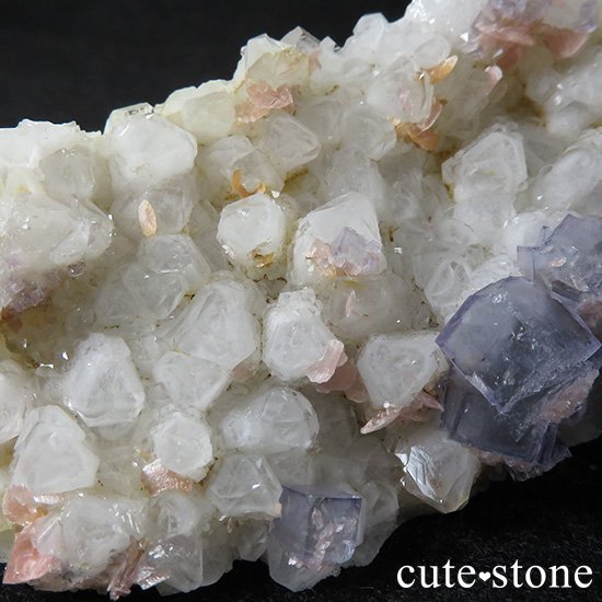 ʻ ե饤ȡɥȡեȥ९Ĥζɸ()μ̿4 cute stone