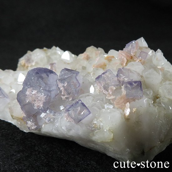  ʻ ե饤ȡɥȡեȥ९Ĥζɸ()μ̿5 cute stone