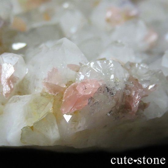 ʻ ե饤ȡɥȡեȥ९Ĥζɸ()μ̿6 cute stone