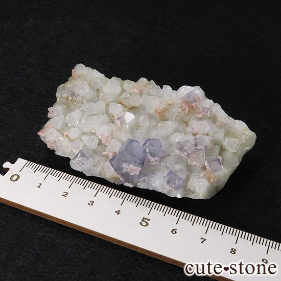  ʻ ե饤ȡɥȡեȥ९Ĥζɸ()μ̿8 cute stone
