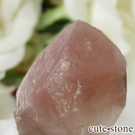 ե ȥ٥꡼(徽)η뾽 5.3gμ̿1 cute stone