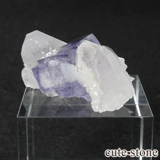 䥪󥷥 ե饤() 徽ζɸ 9.7gμ̿1 cute stone