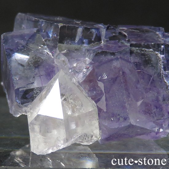 ヤオガンシャン産 フローライト(蛍石) ＆水晶の共生標本 8.5g - cute stone