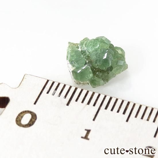 ե˥ ǥޥȥɥͥåȡʥɥȥͥåȡ˷뾽ʸС3.9ctμ̿2 cute stone