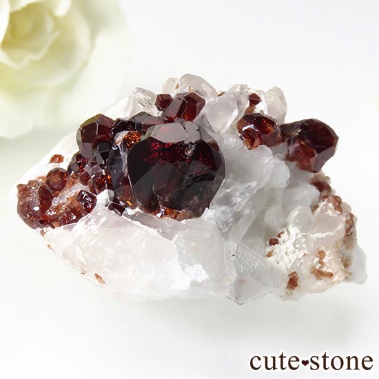 ѥ ڥƥ󥬡ͥåȤΥ饹ʸС27gμ̿1 cute stone