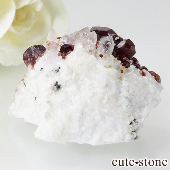 ѥ ڥƥ󥬡ͥåȤΥ饹ʸС27gμ̿2 cute stone
