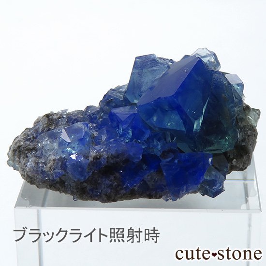 󥰥 ꡼ۻ ָե饤Ȥդ뾽ʸС10.9gμ̿0 cute stone
