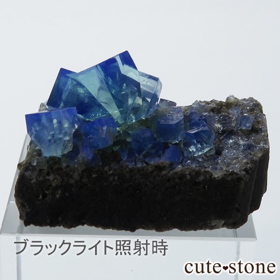 󥰥 ꡼ۻ ָե饤Ȥդ뾽ʸС10.7gμ̿0 cute stone
