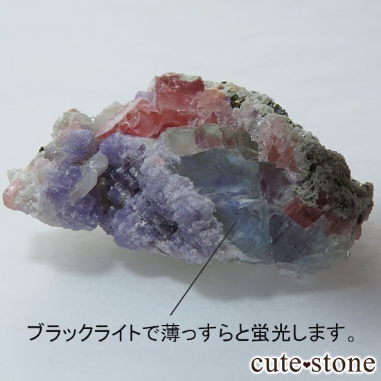  ʻ ե饤ȡɥȤζɸ()μ̿6 cute stone