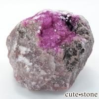 󥴻 Хȥ륵ȤΥ饹ʸС71gβ