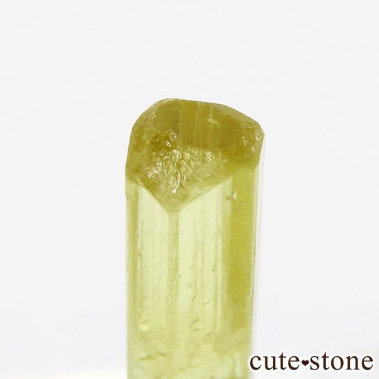 ѥ إꥪɡñ뾽ʸСˤμ̿2 cute stone