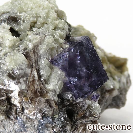 䥪󥷥 ѡץ֥롼ե饤Ȥդ뾽ʸС63gμ̿1 cute stone