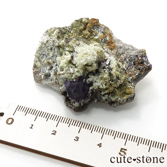 䥪󥷥 ѡץ֥롼ե饤Ȥդ뾽ʸС63gμ̿6 cute stone