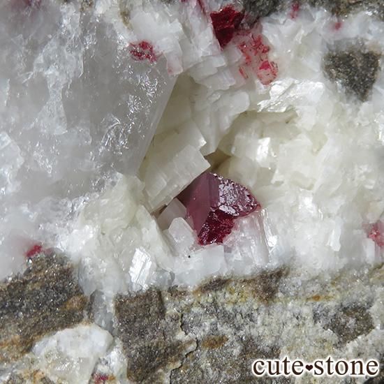 äʥ󥷥˥ʥСդ 55gμ̿1 cute stone