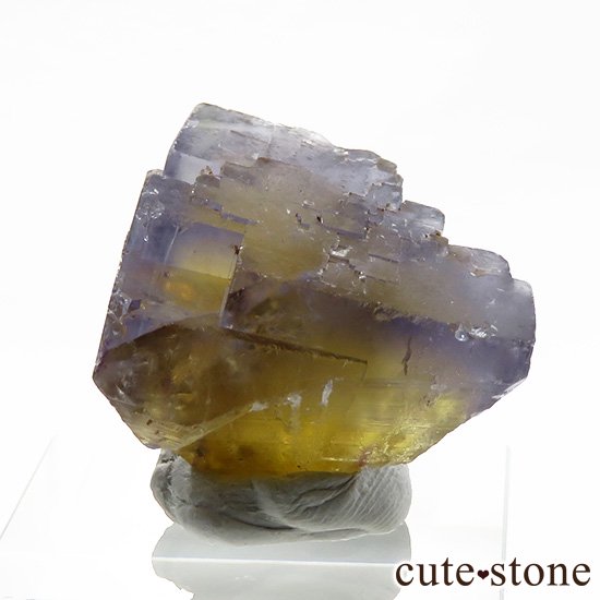 フランス ヴァルゼルグ産 イエローブルーフローライトの結晶（原石 