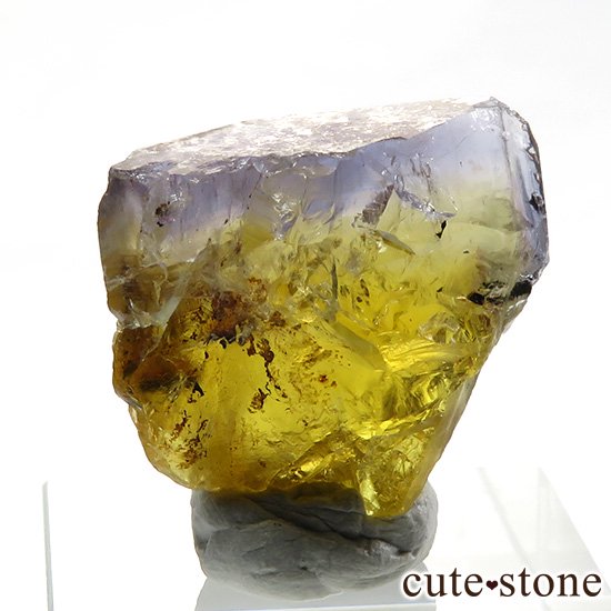 ե 를륰 ֥롼ե饤Ȥη뾽ʸС8.1gμ̿1 cute stone