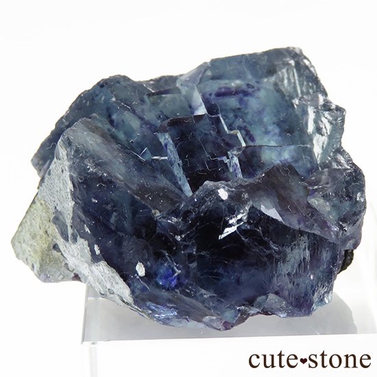  󥴥뻺 ֥롼ե饤Ȥθ 30gμ̿0 cute stone