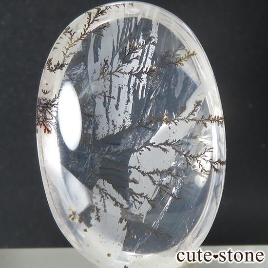 ブラジル産 デンドリティッククォーツのルース 18.6ct - cute