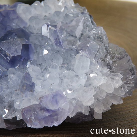  ʡʻѡץ֥롼ե饤Ȥθ 51gμ̿0 cute stone