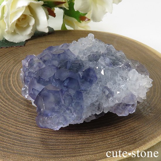  ʡʻѡץ֥롼ե饤Ȥθ 51gμ̿1 cute stone