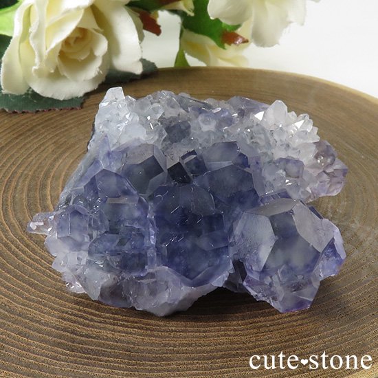  ʡʻѡץ֥롼ե饤Ȥθ 51gμ̿2 cute stone