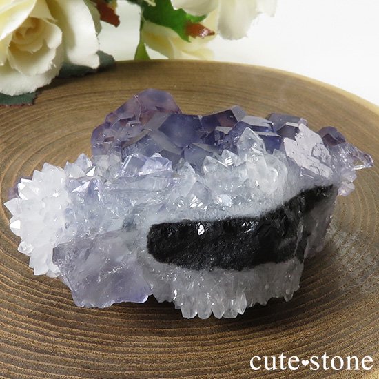  ʡʻѡץ֥롼ե饤Ȥθ 51gμ̿3 cute stone