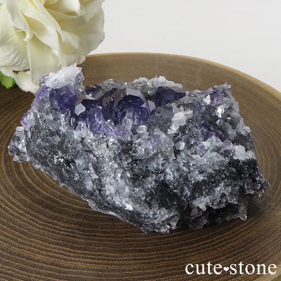  ʡʻѡץ֥롼ե饤Ȥθ 65gμ̿3 cute stone