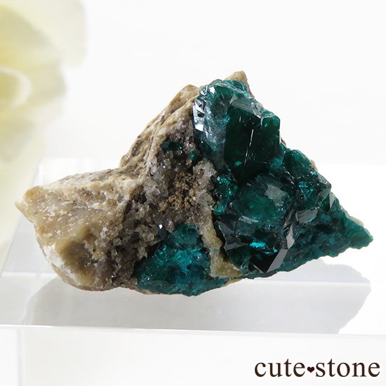 ե󻺤Υץơθ 6.2gμ̿0 cute stone