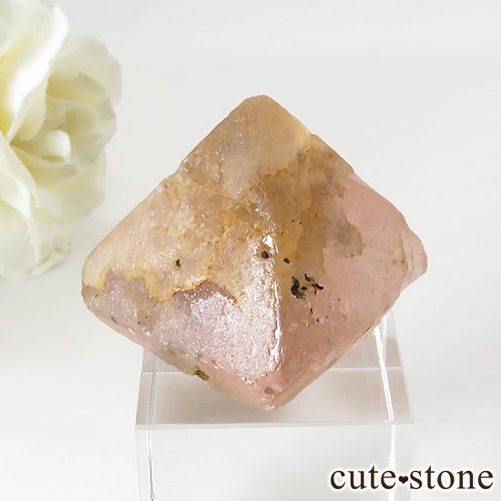 ԥ󥯥ե饤(󥴥뻺)Ȭη뾽ʸС 46gμ̿1 cute stone
