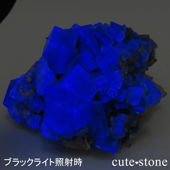 󥰥 ꡼ۻ ָե饤Ȥդ뾽ʸС131gμ̿0 cute stone